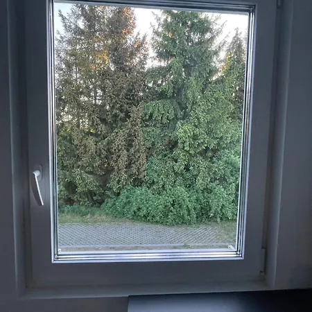 Komarowo77 Lozienica